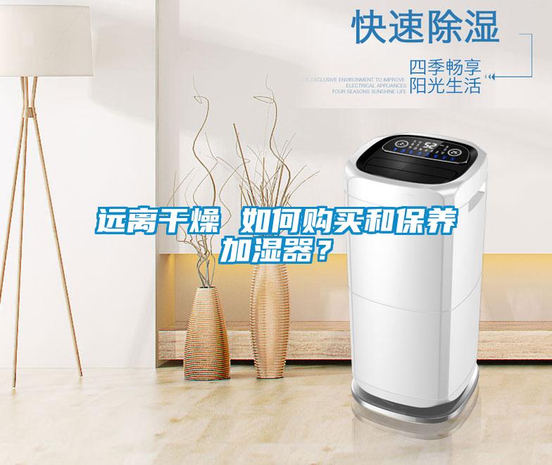 遠離干燥 如何購買和保養(yǎng)加濕器？
