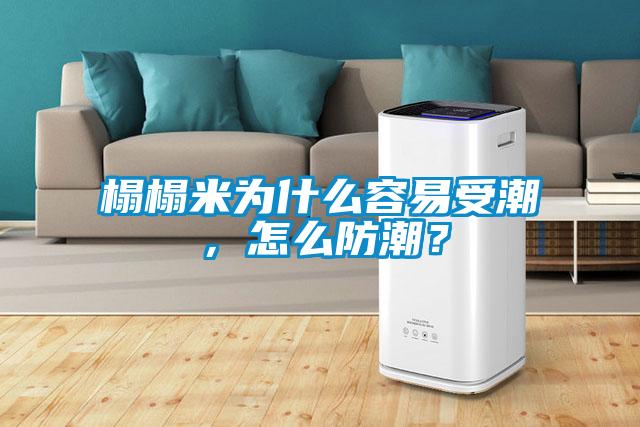 榻榻米為什么容易受潮，怎么防潮？