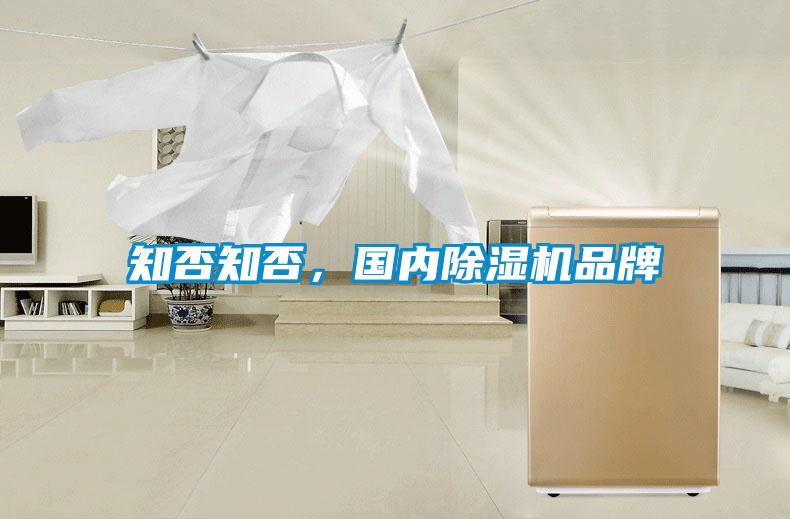 知否知否，國內(nèi)除濕機(jī)品牌