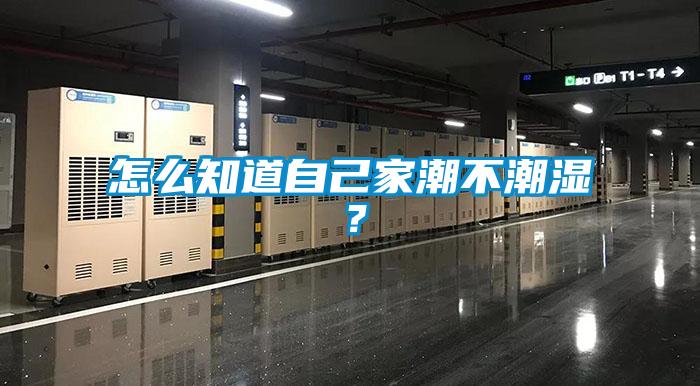 怎么知道自己家潮不潮濕？