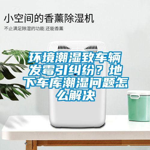 環(huán)境潮濕致車輛發(fā)霉引糾紛？地下車庫(kù)潮濕問(wèn)題怎么解決