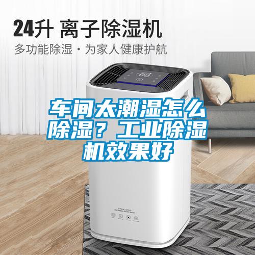 車間太潮濕怎么除濕？工業(yè)除濕機(jī)效果好