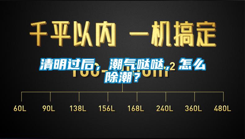 清明過(guò)后，潮氣噠噠，怎么除潮？