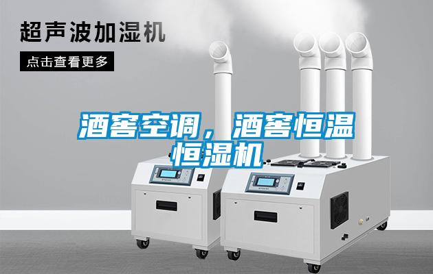 酒窖空調(diào)，酒窖恒溫恒濕機(jī)
