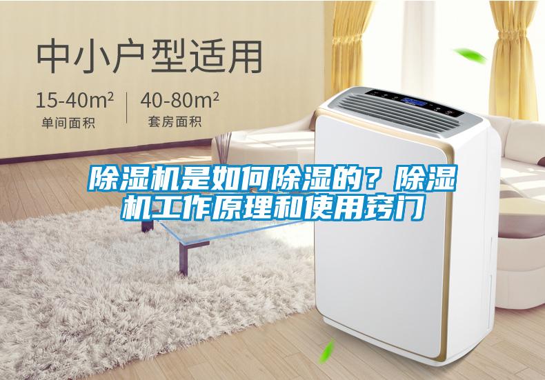 除濕機(jī)是如何除濕的？除濕機(jī)工作原理和使用竅門