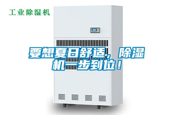 要想夏日舒適，除濕機(jī)一步到位！