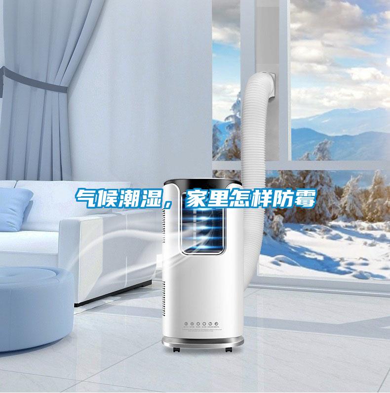 氣候潮濕，家里怎樣防霉