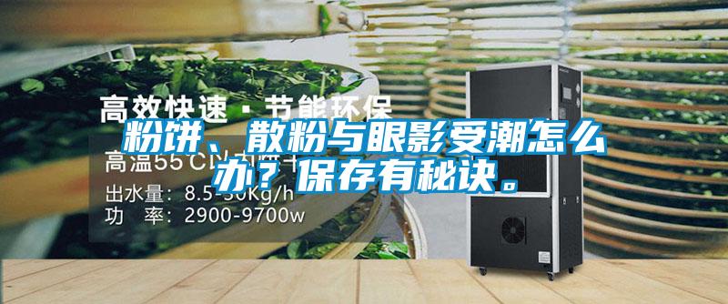 粉餅、散粉與眼影受潮怎么辦？保存有秘訣。
