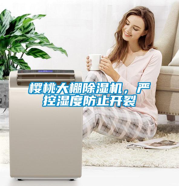 櫻桃大棚除濕機(jī)，嚴(yán)控濕度防止開裂