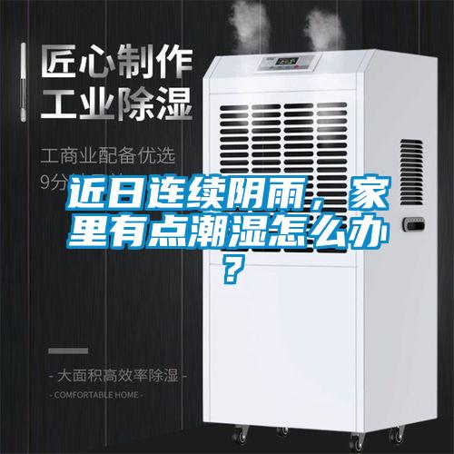 近日連續(xù)陰雨，家里有點(diǎn)潮濕怎么辦？