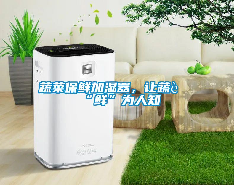 蔬菜保鮮加濕器，讓蔬菜“鮮”為人知
