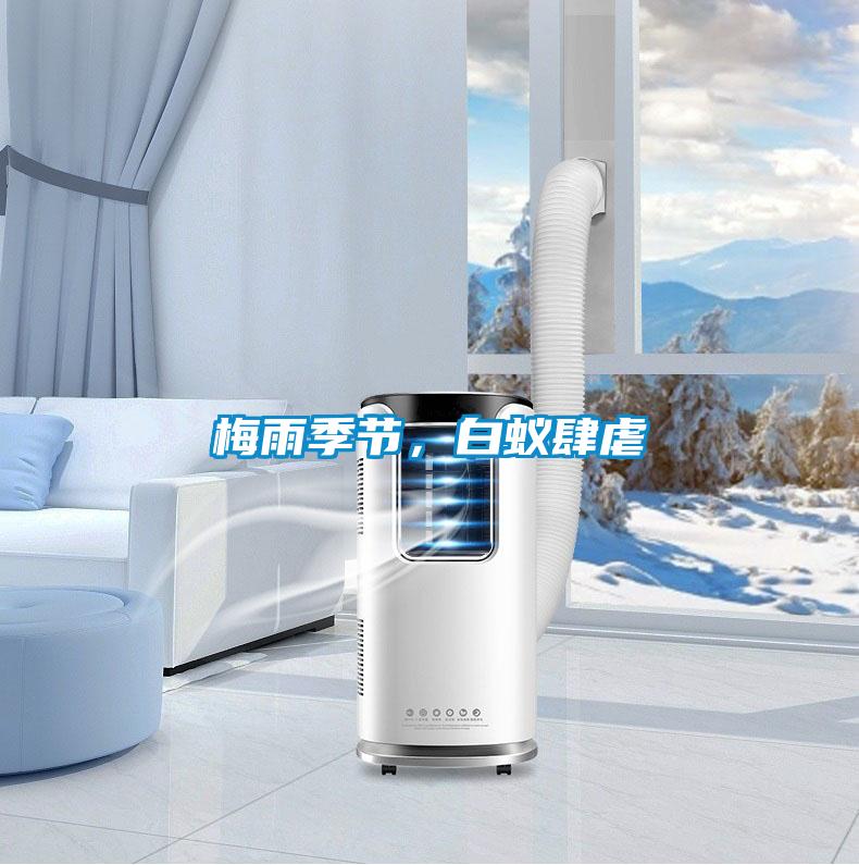 梅雨季節(jié)，白蟻肆虐