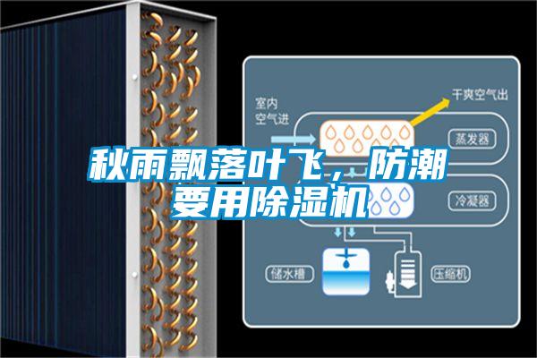 秋雨飄落葉飛，防潮要用除濕機(jī)