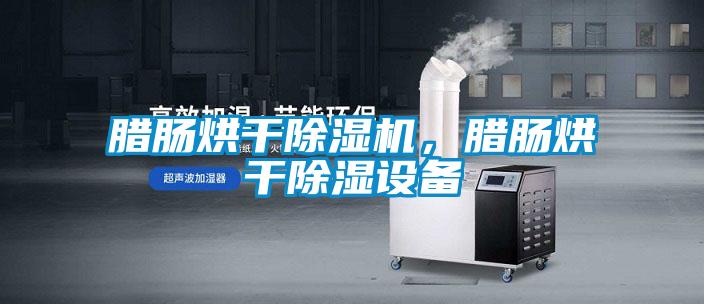 臘腸烘干除濕機(jī)，臘腸烘干除濕設(shè)備
