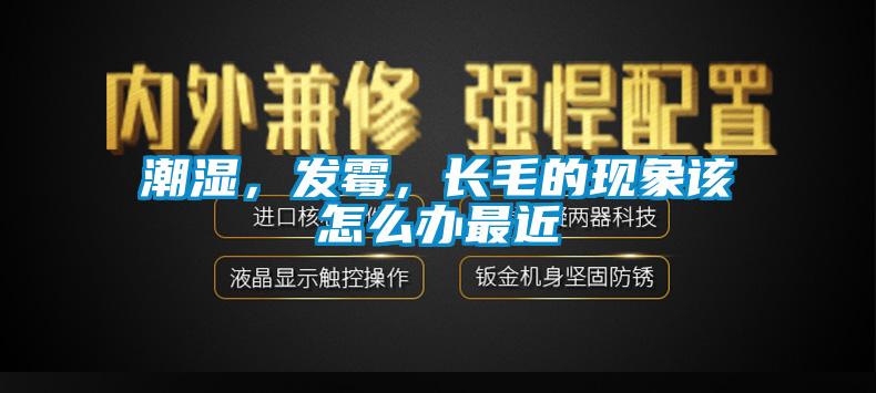 潮濕，發(fā)霉，長毛的現(xiàn)象該怎么辦最近