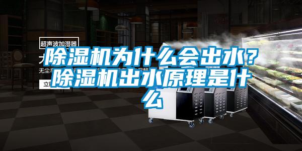 除濕機為什么會出水？除濕機出水原理是什么