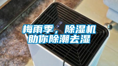 梅雨季，除濕機助你除潮去濕