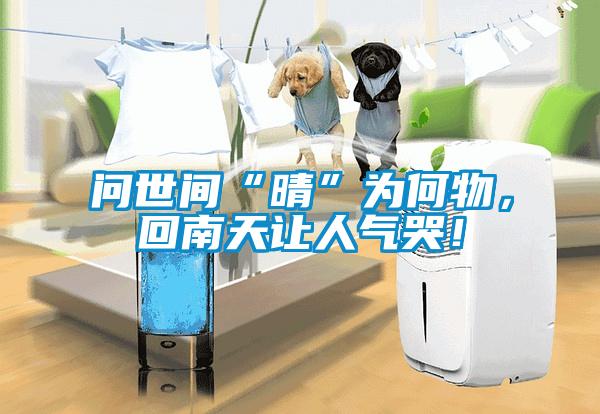 問世間“晴”為何物，回南天讓人氣哭！