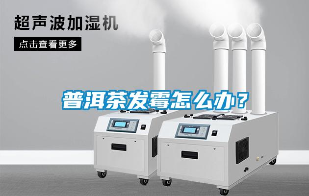 普洱茶發(fā)霉怎么辦？