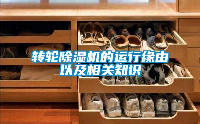 轉(zhuǎn)輪除濕機(jī)的運行緣由以及相關(guān)知識