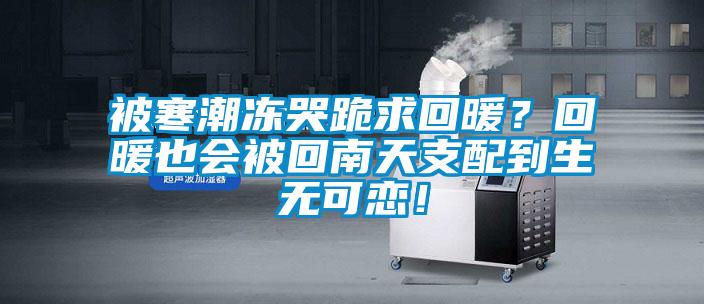 被寒潮凍哭跪求回暖？回暖也會(huì)被回南天支配到生無(wú)可戀！