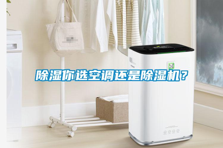 除濕你選空調(diào)還是除濕機？