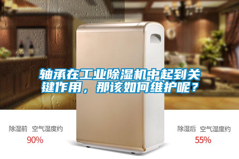 軸承在工業(yè)除濕機(jī)中起到關(guān)鍵作用，那該如何維護(hù)呢？