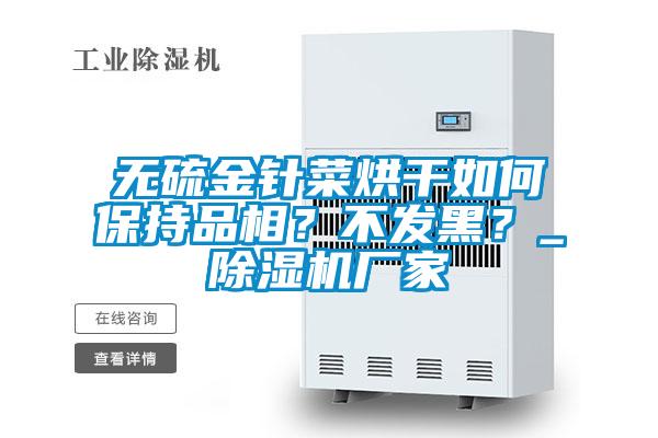 無硫金針菜烘干如何保持品相？不發(fā)黑？_除濕機(jī)廠家