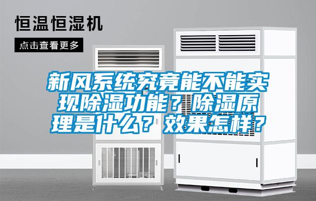 新風系統(tǒng)究竟能不能實現(xiàn)除濕功能？除濕原理是什么？效果怎樣？
