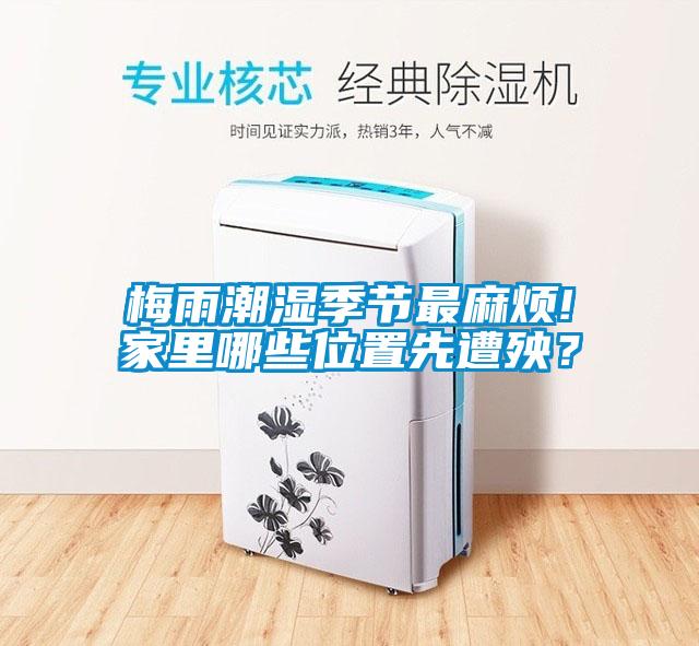 梅雨潮濕季節(jié)最麻煩!家里哪些位置先遭殃？