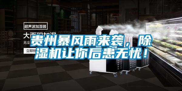 貴州暴風(fēng)雨來襲，除濕機讓你后患無憂！