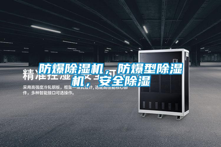 防爆除濕機(jī)，防爆型除濕機(jī)，安全除濕