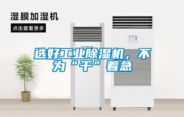 選好工業(yè)除濕機(jī)，不為“干”著急
