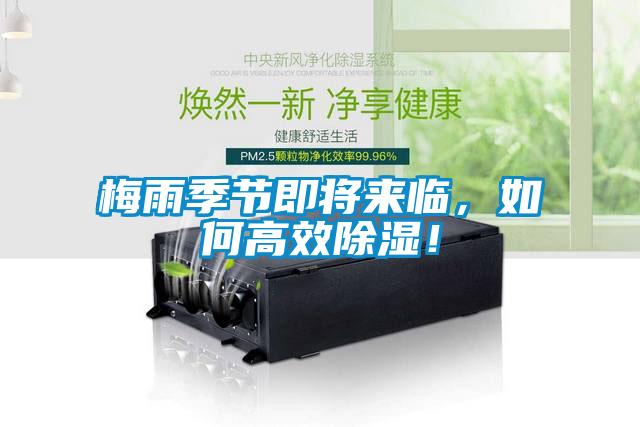 梅雨季節(jié)即將來(lái)臨，如何高效除濕！