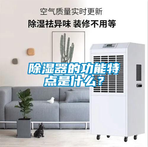 除濕器的功能特點(diǎn)是什么？