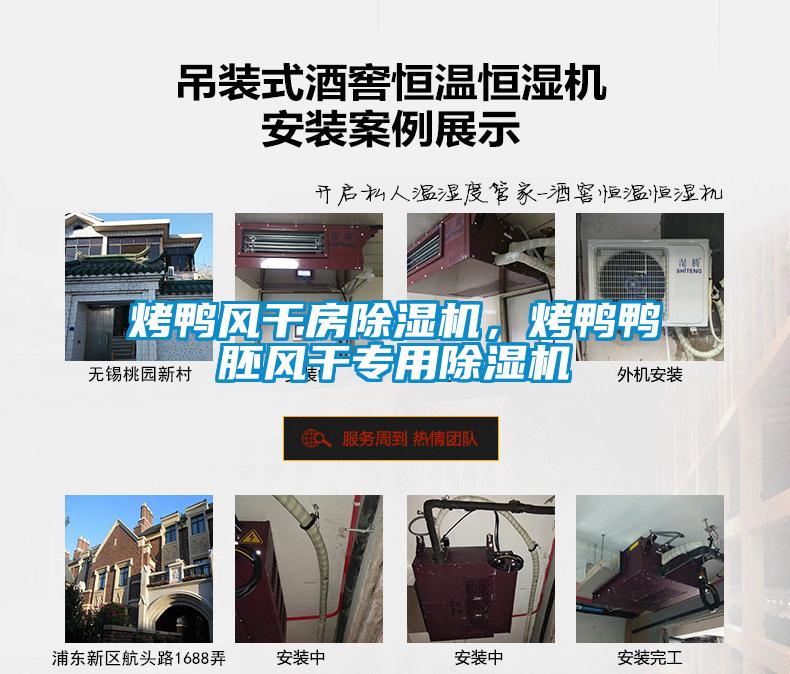 烤鴨風(fēng)干房除濕機(jī)，烤鴨鴨胚風(fēng)干專(zhuān)用除濕機(jī)