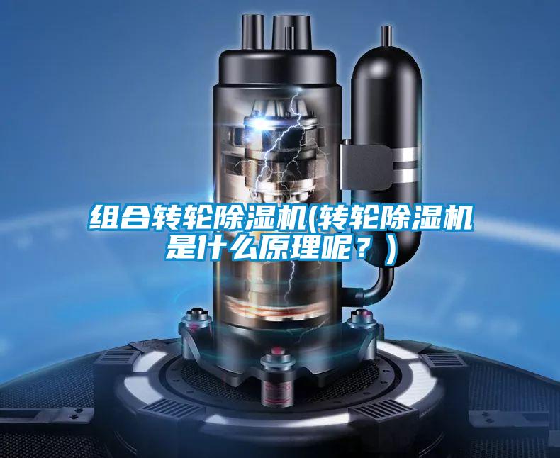 組合轉(zhuǎn)輪除濕機(jī)(轉(zhuǎn)輪除濕機(jī)是什么原理呢？)