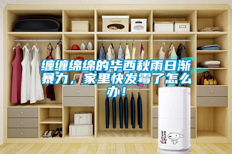 纏纏綿綿的華西秋雨日漸暴力，家里快發(fā)霉了怎么辦！