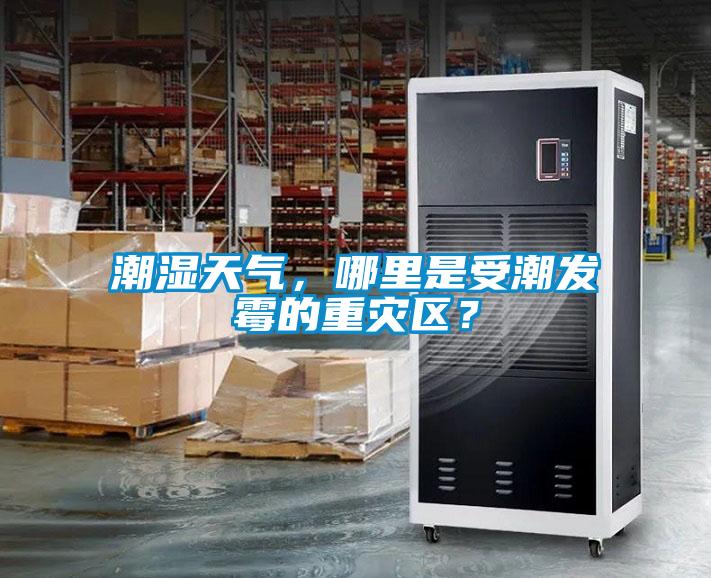 潮濕天氣，哪里是受潮發(fā)霉的重災區(qū)？