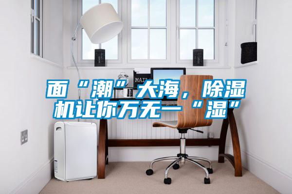 面“潮”大海，除濕機(jī)讓你萬(wàn)無(wú)一“濕”