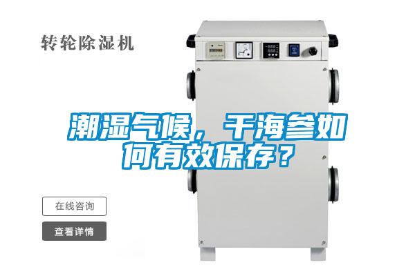 潮濕氣候，干海參如何有效保存？
