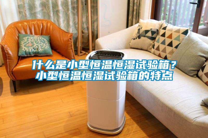 什么是小型恒溫恒濕試驗(yàn)箱？小型恒溫恒濕試驗(yàn)箱的特點(diǎn)