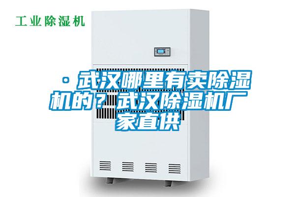 ·武漢哪里有賣除濕機的？武漢除濕機廠家直供
