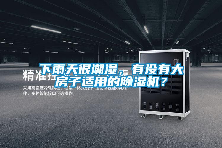下雨天很潮濕，有沒有大房子適用的除濕機？