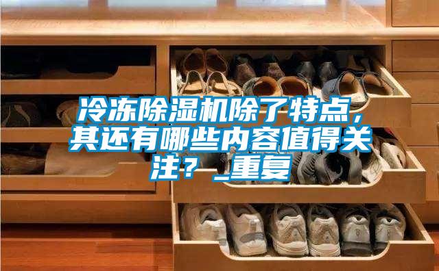 冷凍除濕機除了特點，其還有哪些內(nèi)容值得關(guān)注？_重復(fù)