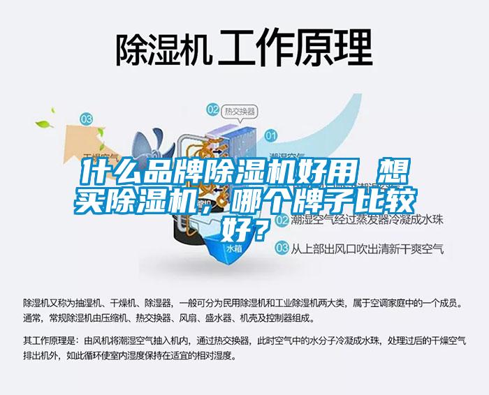 什么品牌除濕機好用 想買除濕機，哪個牌子比較好？
