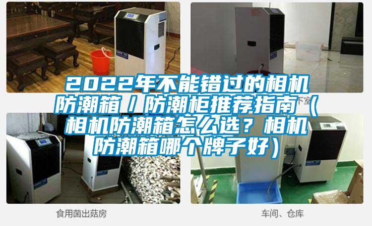 2022年不能錯(cuò)過的相機(jī)防潮箱／防潮柜推薦指南（相機(jī)防潮箱怎么選？相機(jī)防潮箱哪個(gè)牌子好）