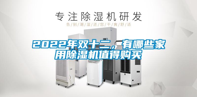 2022年雙十二，有哪些家用除濕機(jī)值得購(gòu)買