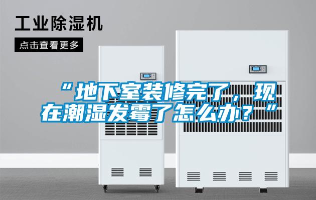 “地下室裝修完了，現(xiàn)在潮濕發(fā)霉了怎么辦？”