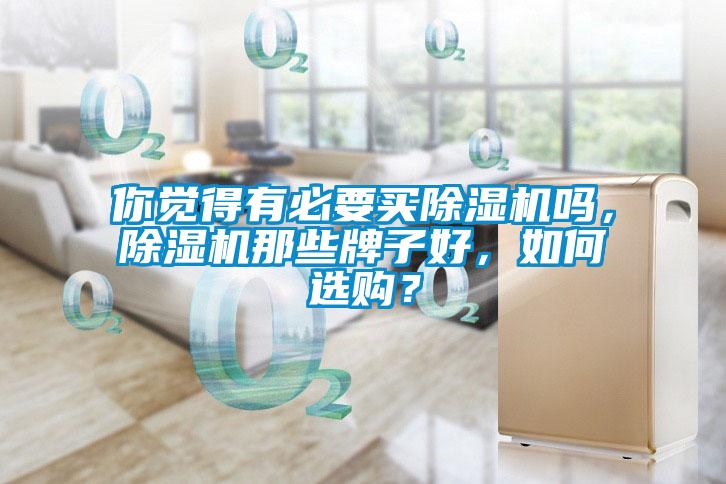 你覺得有必要買除濕機嗎，除濕機那些牌子好，如何選購？